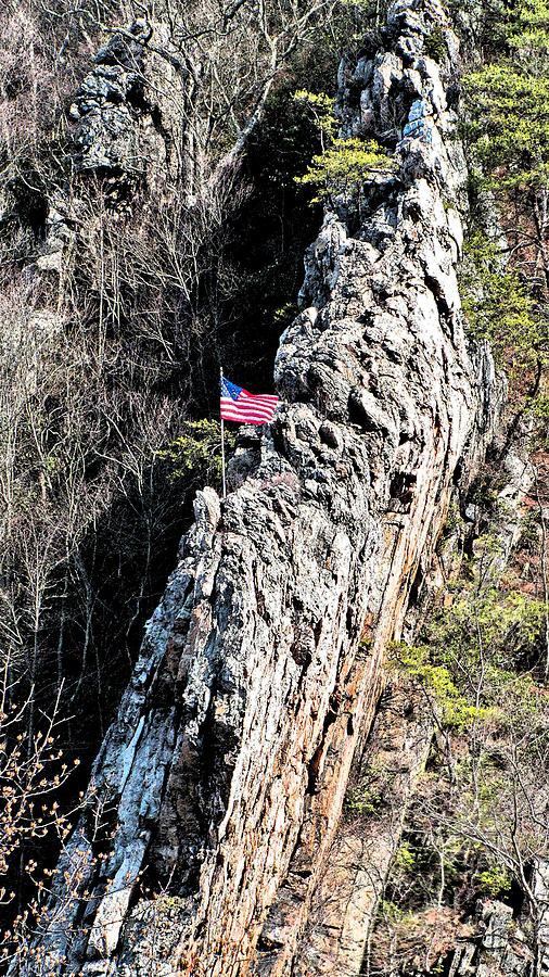 Virginia Photograph - Climb to Great Heights by Elisia Cosentino Virginia Photograph - Climb to Great Heights by Elisia Cosentino