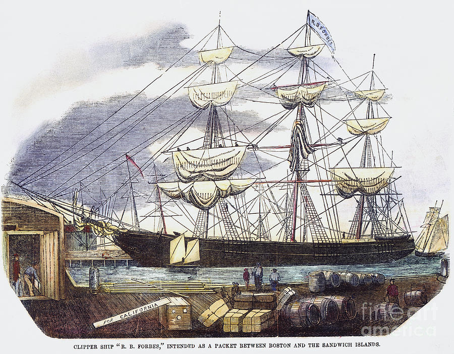 Clipper Ship, 1851 #1 Photograph by Granger