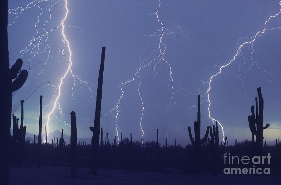 Bolt Photograph - Cloud to Ground Lightning #1 by John A Ey III and Photo Researchers