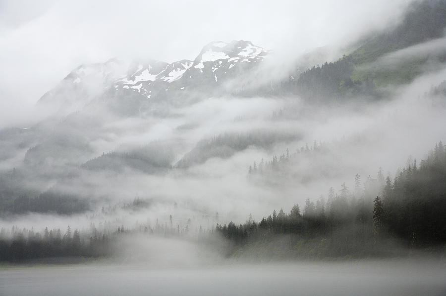 Clouds And Mist Over Forest, Admiralty #1 Photograph by Konrad Wothe
