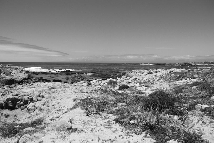 Coastal view #1 Photograph by Kathleen Grace