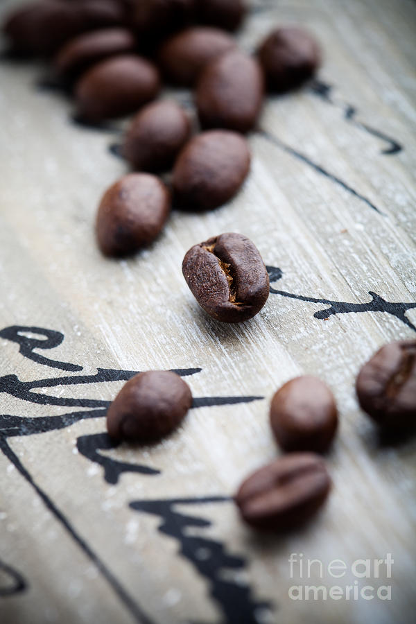 Coffee beans #1 Photograph by Kati Finell