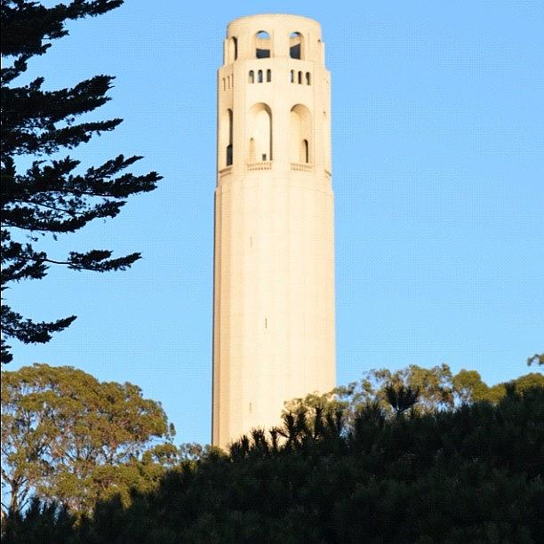 San Francisco Photograph - Coit tower #1 by Birgit Zimmerman