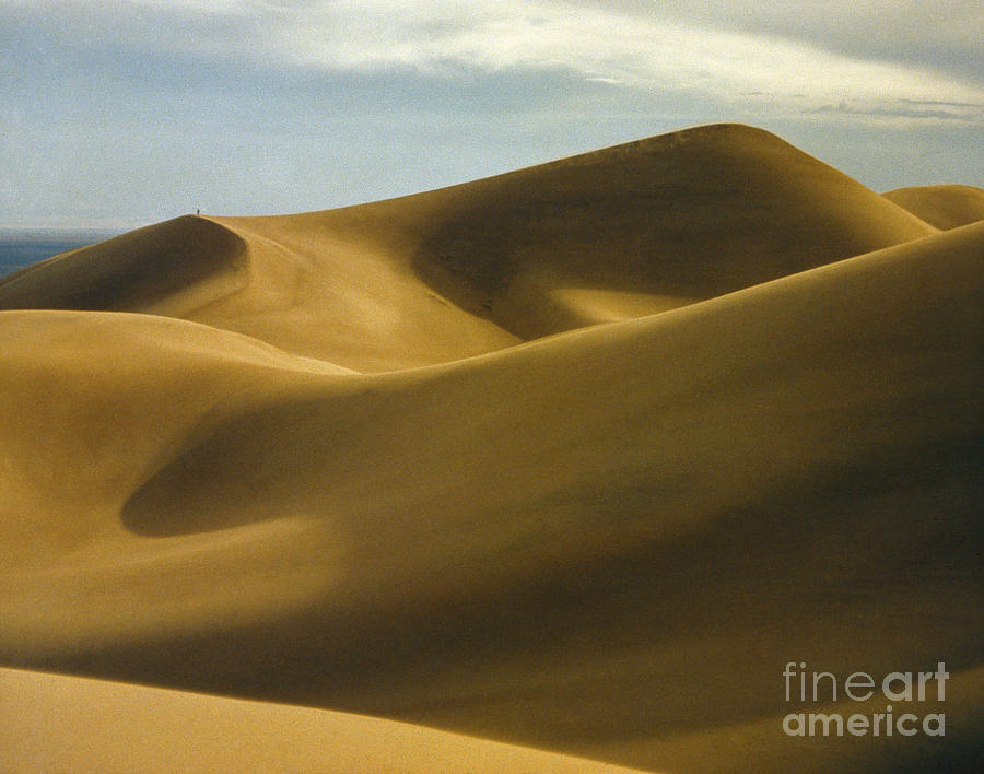 Colorado: Sand Dunes #1 Photograph by Granger