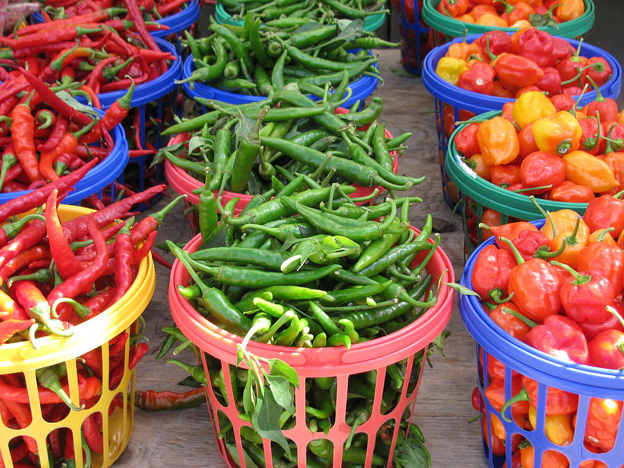 Colorful Peppers #1 Photograph by Alfred Ng