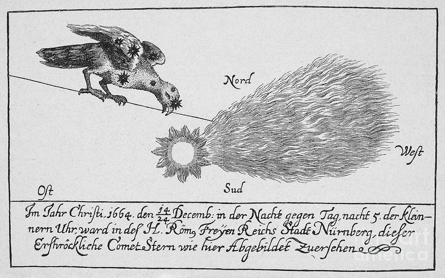 Bird Photograph - Comet, 1664 #1 by Granger