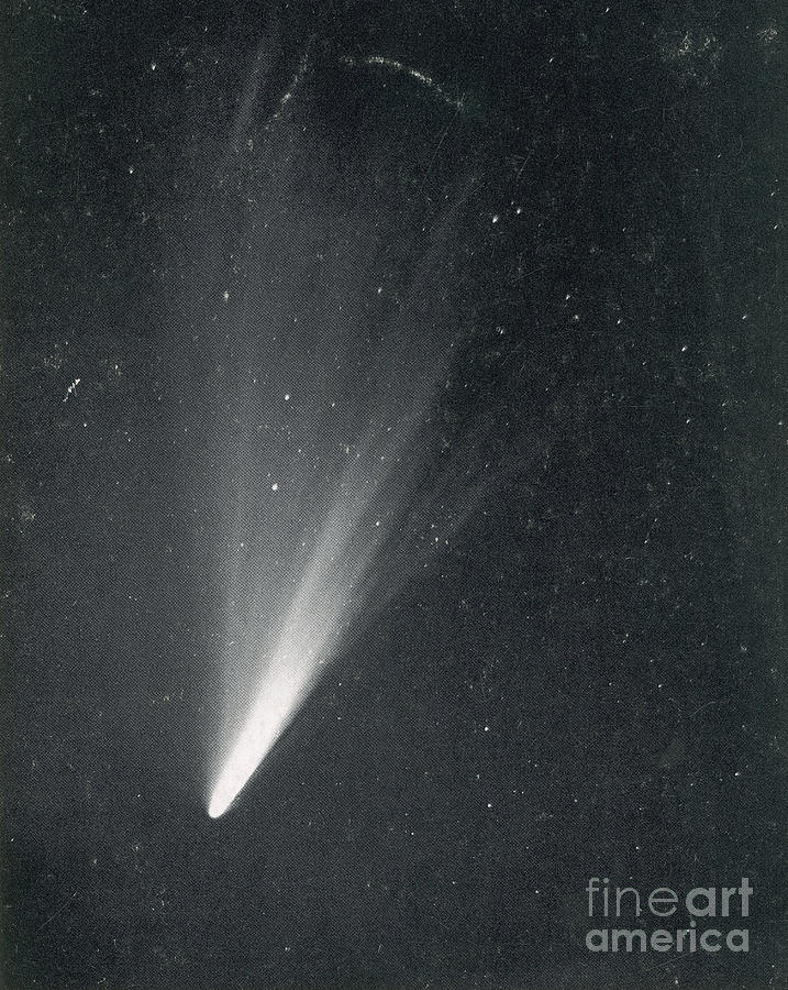 Comet West, 1976 #1 Photograph by Science Source