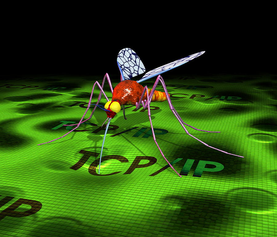 Computer Virus Photograph by Roger Harris | Fine Art America