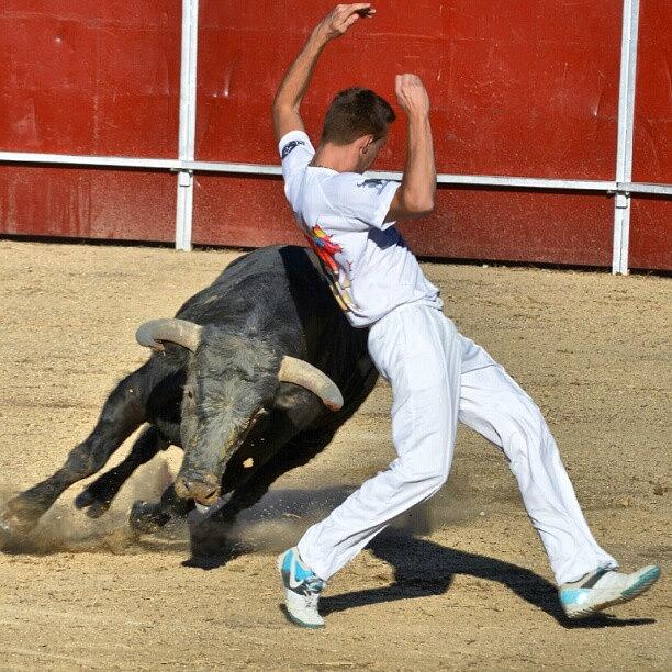 Bull Photograph - Concurso De Recortadores #1 by Francisco Javier Collado Martin