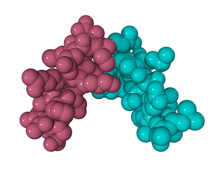 Corticotropin-releasing Factor Complex Photograph by Laguna Design