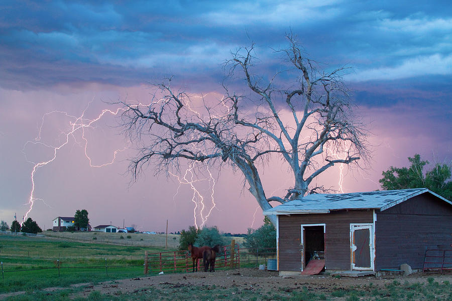 Horse Photograph - Country Horses Lightning Storm NE Boulder County CO  76 by James BO Insogna
