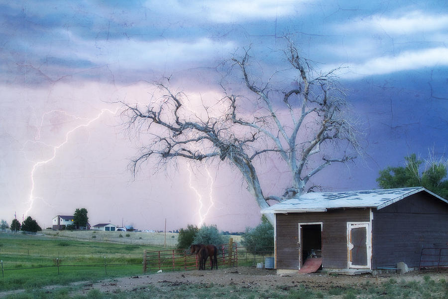 Country Lightning NE Boulder County CO Fine Art Photograph by James BO Insogna