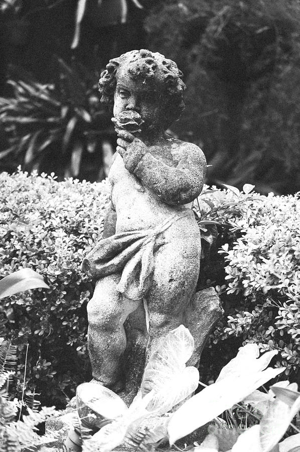 Courtyard Statue of a Cherub French Quarter New Orleans Black and White Film Grain Digital Art #1 Photograph by Shawn OBrien