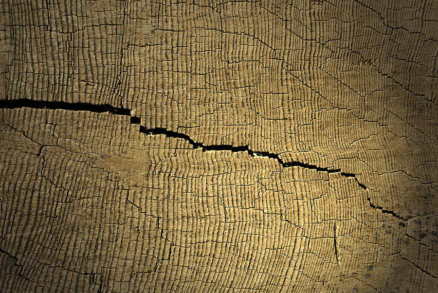 Nature Photograph - Crack #1 by Design Windmill