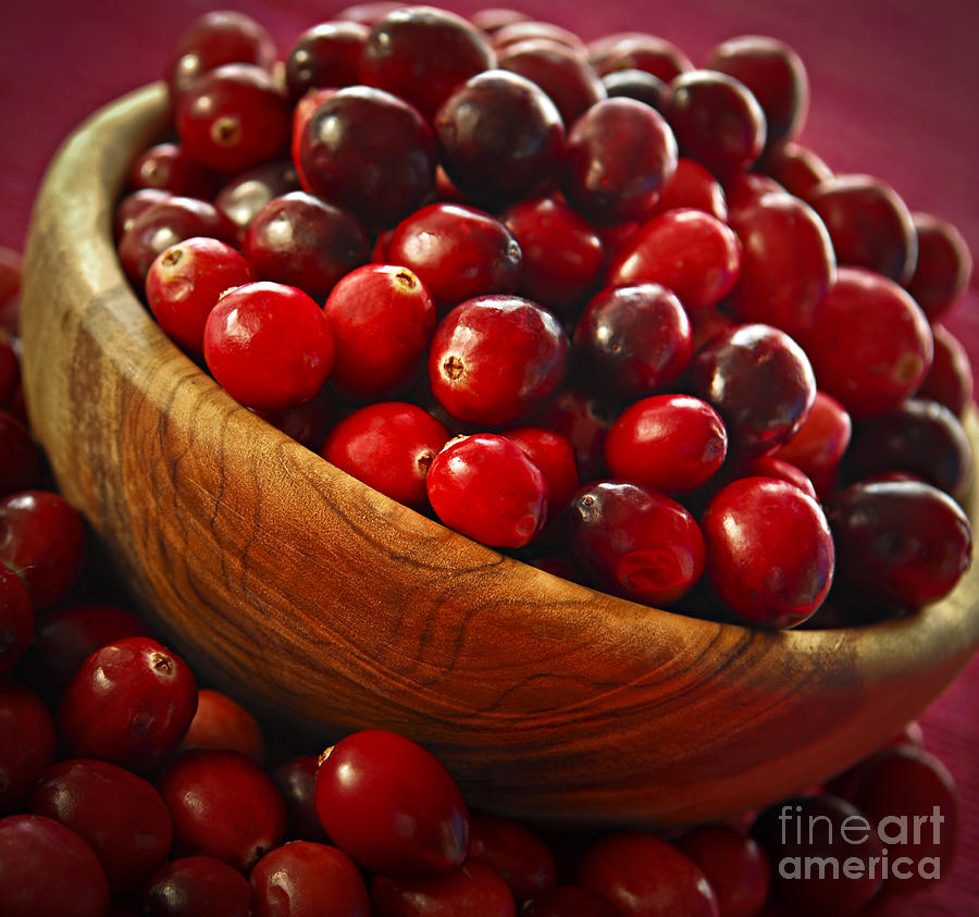 Cranberries in a bowl 1 Photograph by Elena Elisseeva