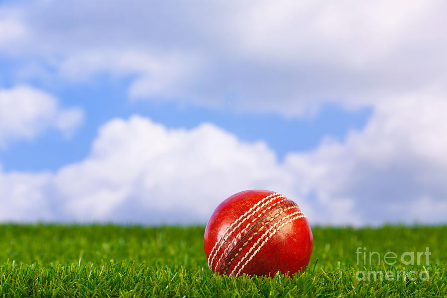 Cricket Ball On Grass Photograph