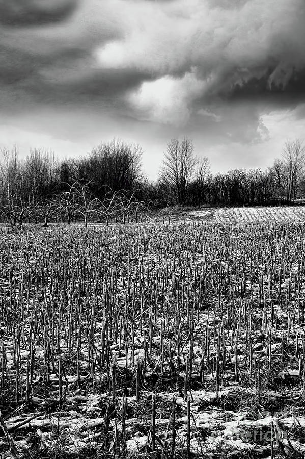 Crop field in early winter after first snow #1 Photograph by Sandra Cunningham