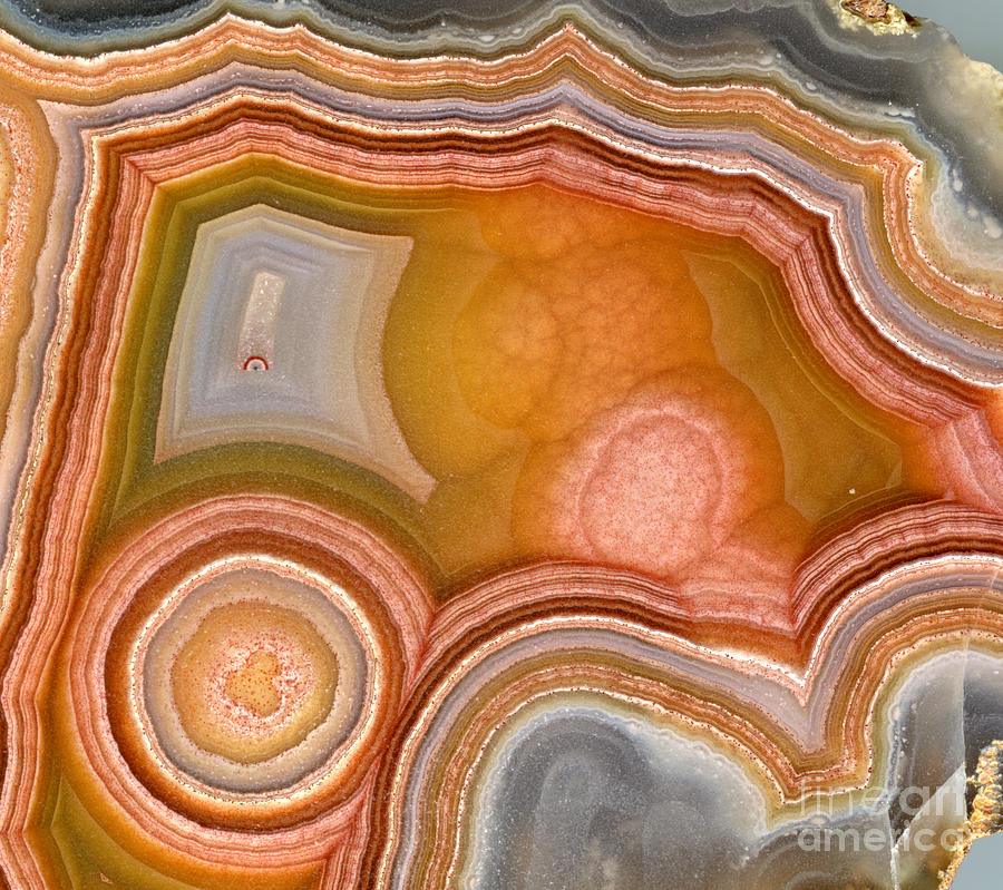 Cross-section Of Mexican Agate #1 Photograph by Ted Kinsman