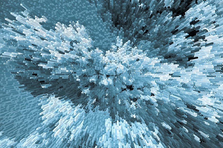 Crystal flowers #1 Digital Art by David Pyatt - Pixels