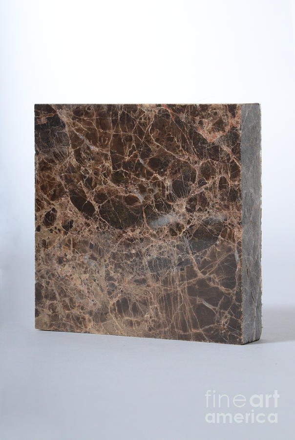 Dark Emperador Marble #1 Photograph by Photo Researchers, Inc.