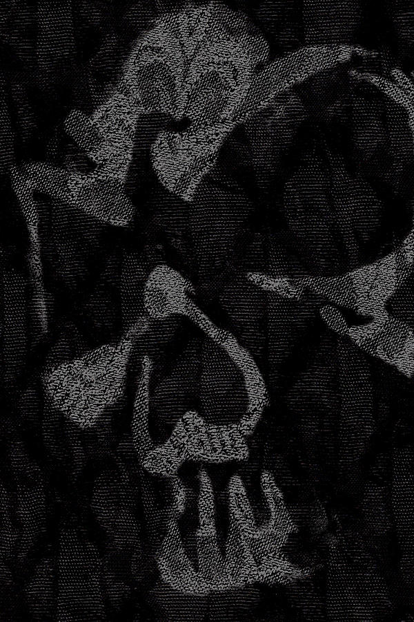 Dark Skull Digital Art by Roseanne Jones