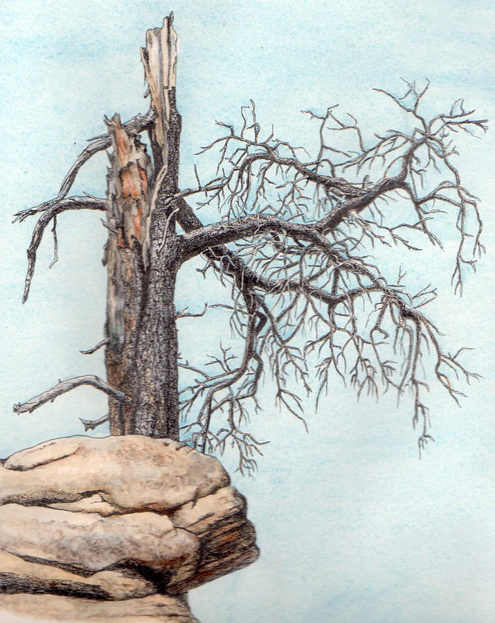 dying tree painting