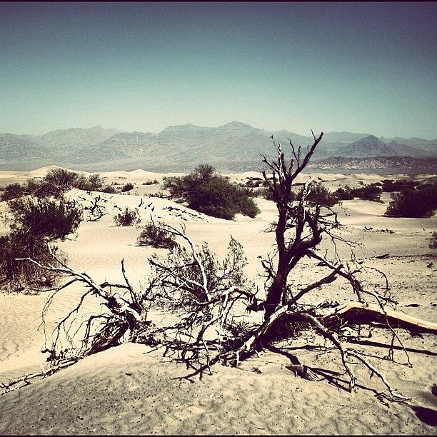 Death Valley #1 Photograph by Luisa Azzolini