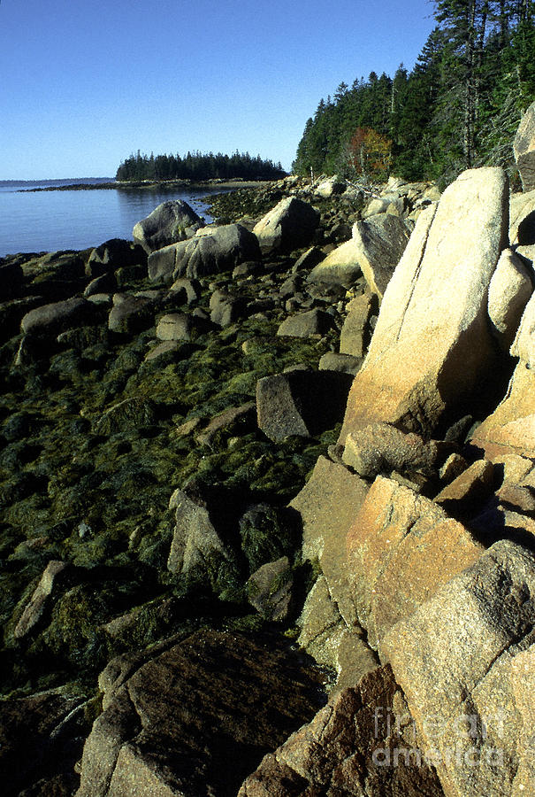 Deer Isle and Barred Island #1 Photograph by Thomas R Fletcher