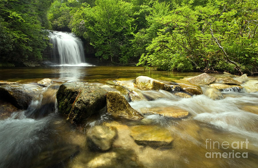 Jungle Photograph - Dense Forest Waterfall #1 by Matt Tilghman