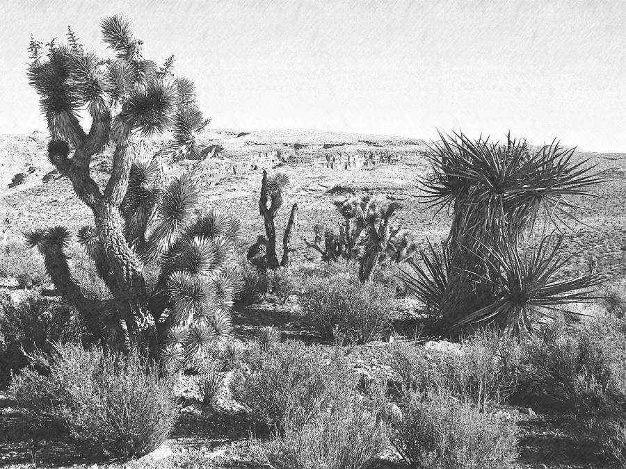 Desert Greenery #1 Photograph by Frank Wilson
