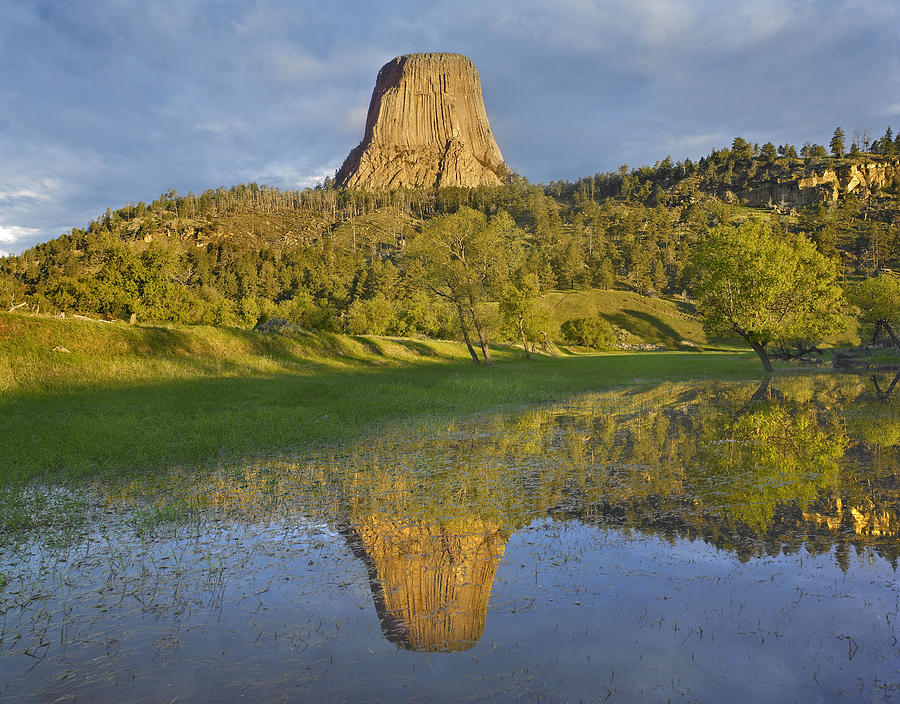 Devils Tower National Monument Showing #1 Photograph by Tim Fitzharris