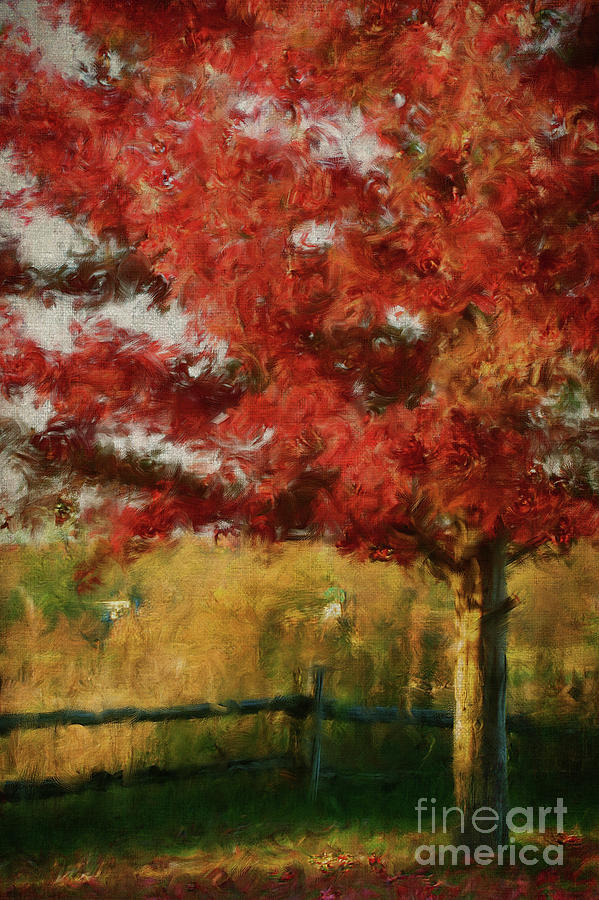  Maple tree in full color/Digital Painting  Photograph by Sandra Cunningham