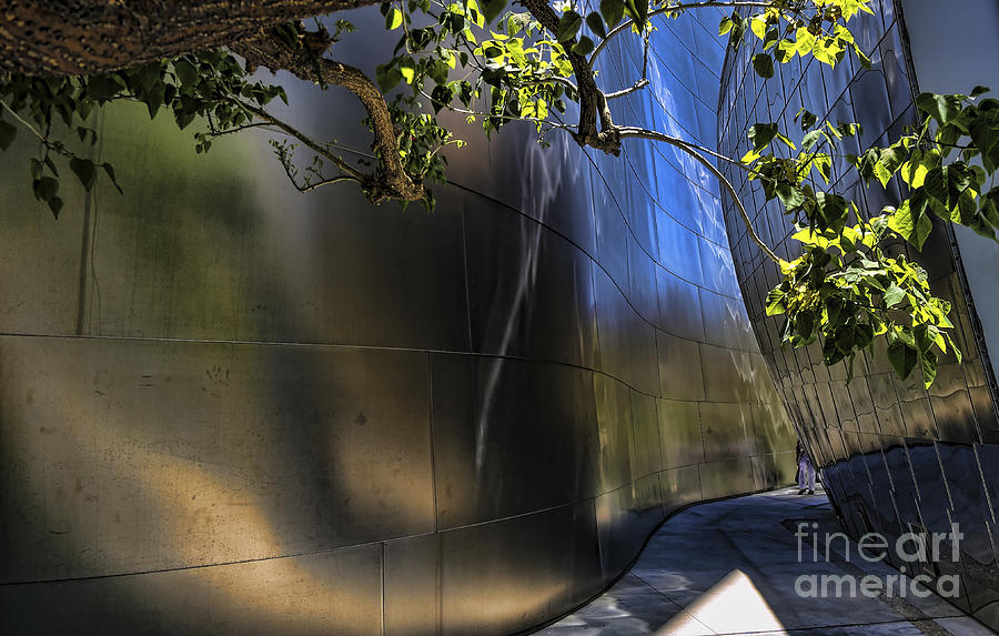 Architecture Photograph - Disney Music Hall VIII #1 by Chuck Kuhn