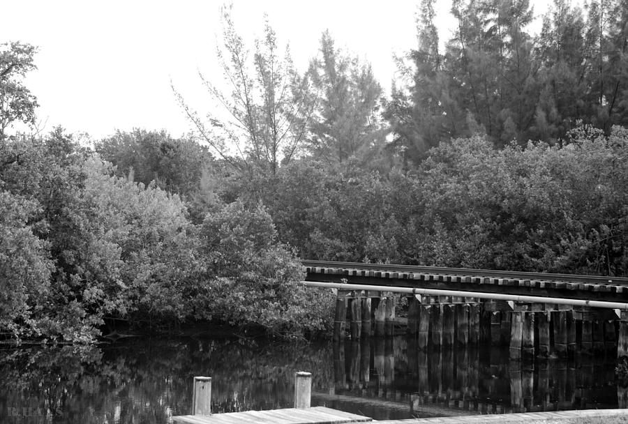 Black And White Photograph - DOCK ON THE RIVER in BLACK AND WHITE #1 by Rob Hans