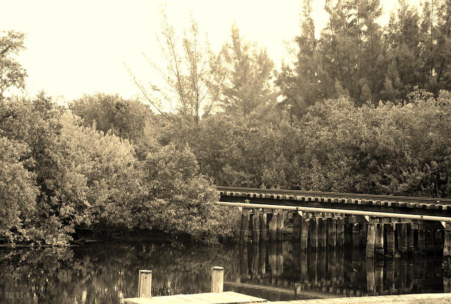 DOCK ON THE RIVER in SEPIA #1 Photograph by Rob Hans