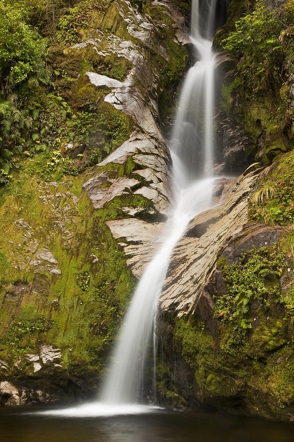 Dorothy Falls Near Lake Kaniere New Photograph by Colin Monteath