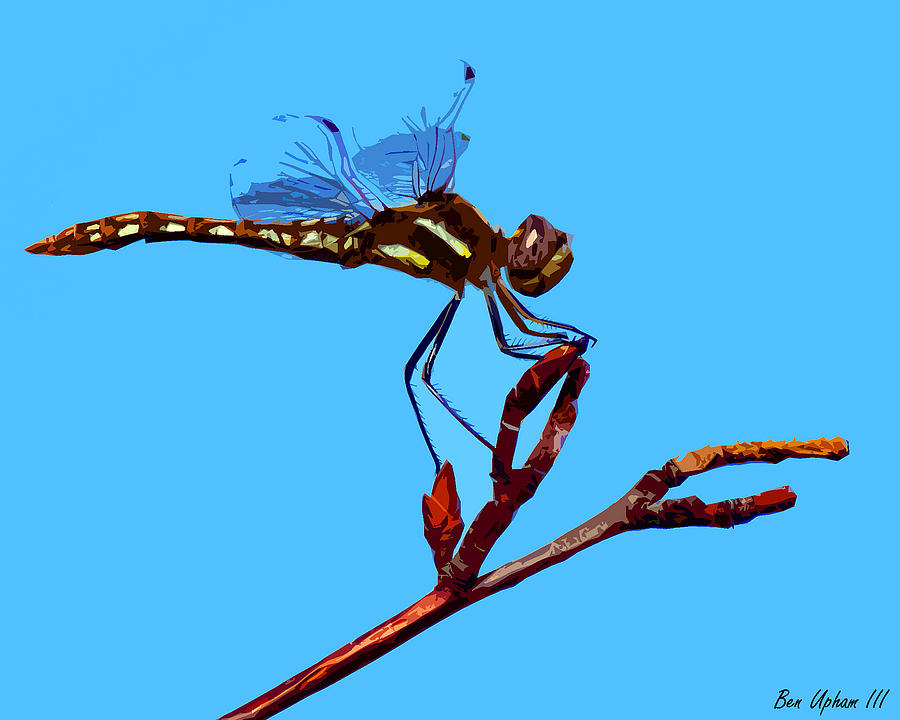 Dragonfly Art #1 Photograph by Ben Upham III