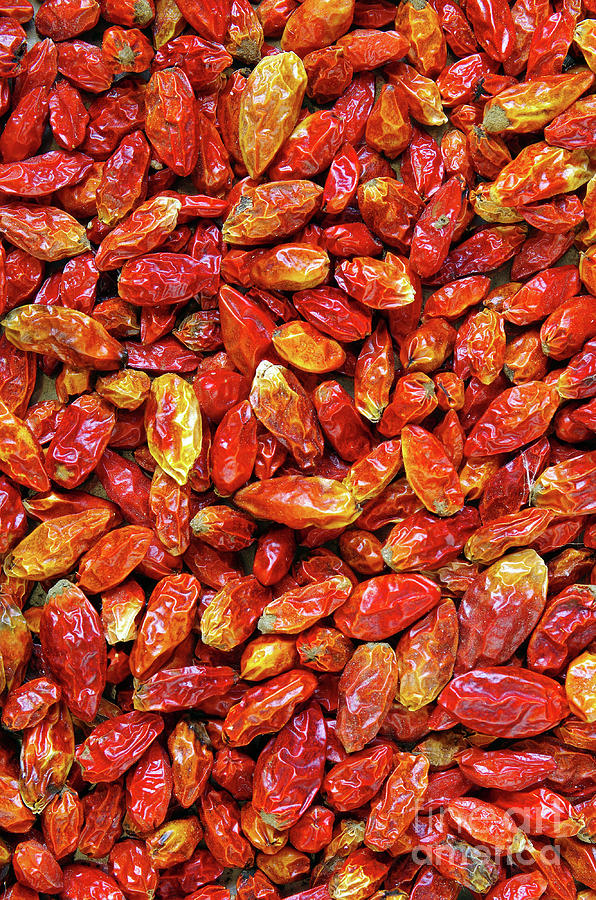 Dried Chili Peppers Photograph by Carlos Caetano