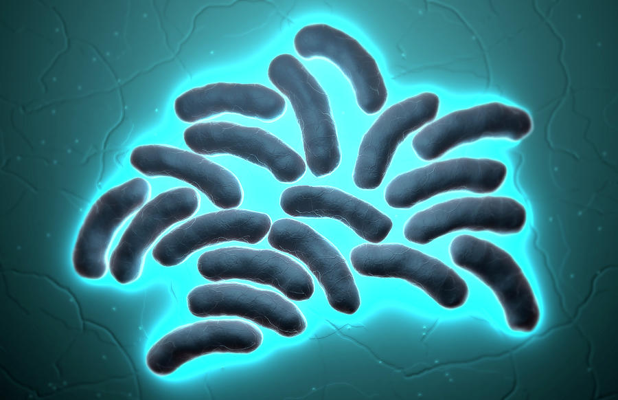 Horizontal Digital Art - E-coli Cells #1 by MedicalRF.com