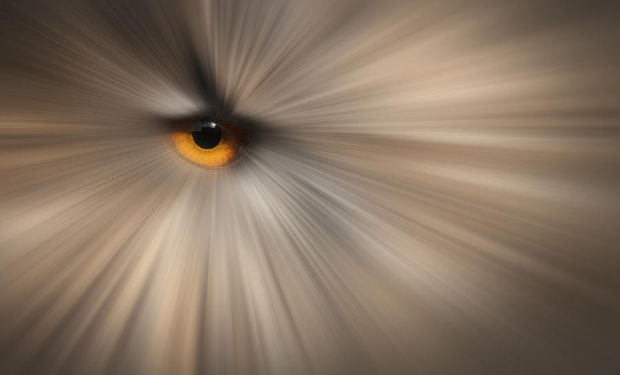 Eagle Owl Eye Abstract #1 Photograph by Andy Astbury