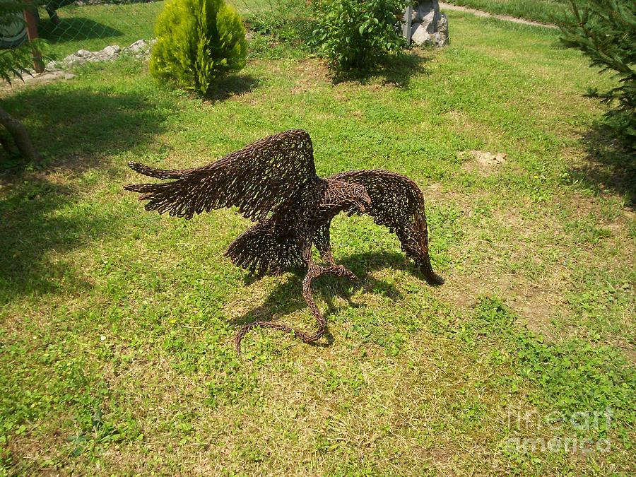 Eagle with snake wire sculpture Sculpture by Laszlo Komaromi - Fine Art  America