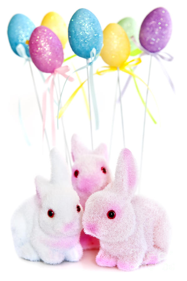 Easter Photograph - Easter bunny toys 1 by Elena Elisseeva