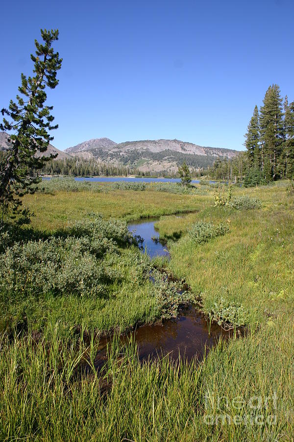 Ebbetts Pass Ca Photograph by Rick Olmsted - Fine Art America