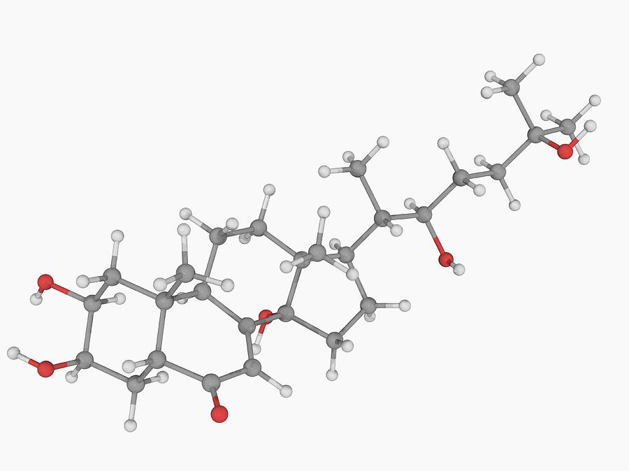 Ecdysone Molecule #1 Digital Art by Laguna Design
