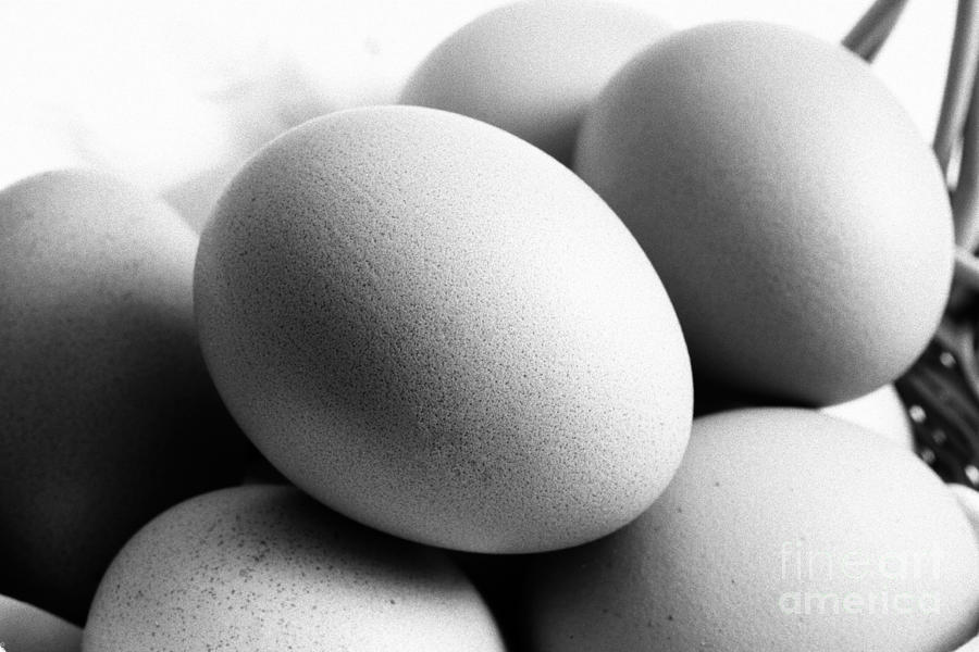Eggs #1 Photograph by Gaspar Avila