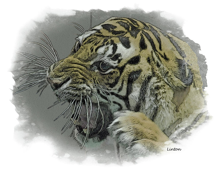 El Tigre #1 Digital Art by Larry Linton
