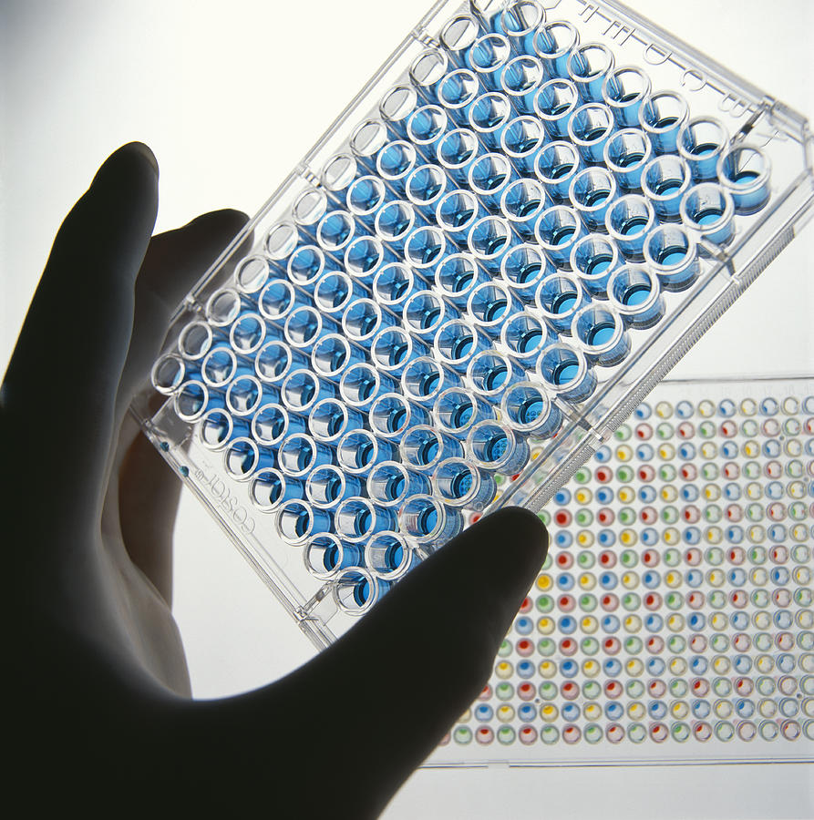 Antibodies Photograph - Elisa Test Plate #1 by Tek Image