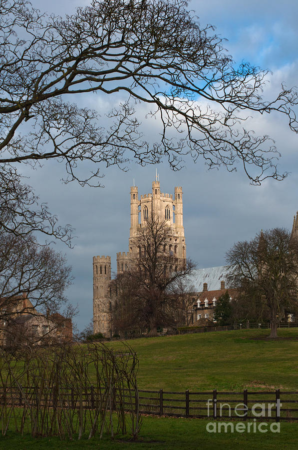 Ely Cathedral in city of Ely #1 Photograph by Andrew  Michael