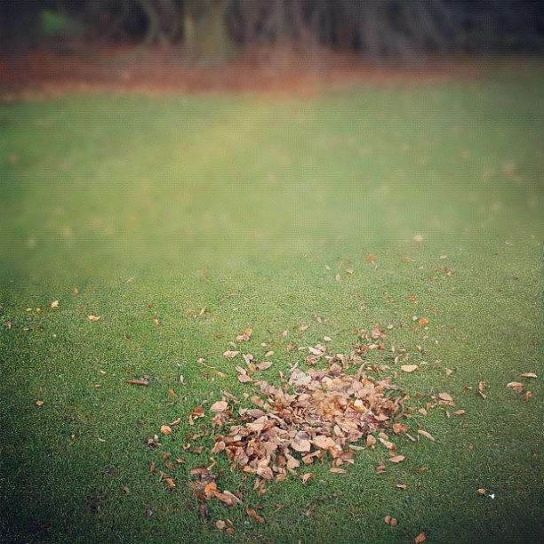 Nature Photograph - Empty lawn with a little heap of leaves scraped together #1 by Matthias Hauser