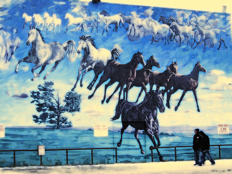 Mural, Equus Descending Painting by Tim Heimdal